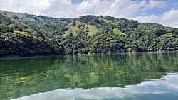 Norcasia- Embalse 1.jpg