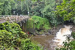 Old Mamalahoa Hwy & Kawainui Stream, Pepeekeo (504212) (23148989272).jpg
