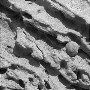 Archivo:Opportunity photo of Mars outcrop rock