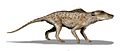 Pakicetus BW