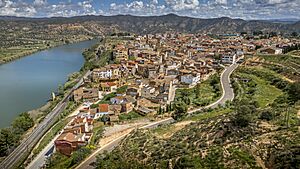 Archivo:Riba-roja d'Ebre. Vista aerea