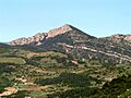 SERRA DE TURP - ALINYÀ - IB- 424