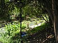 San Antonio Texas River Walk St Marys Street