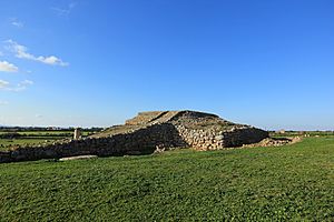 Archivo:Sassari - Complesso prenuragico di Monte d'Accoddi (04)