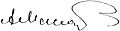 Signature. Anton Makarenko