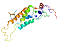 Tobacco Mosaic Virus structure