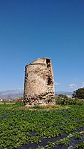 Torre manganeta (3)