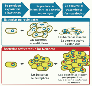 Archivo:WhatIsDrugResistance-es