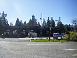 Williams Country Store.jpg