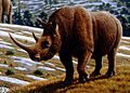 Woolly rhinoceros (Coelodonta antiquitatis) - Mauricio Antón