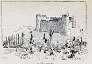 Archivo:1886, España, sus monumentos y sus artes, su naturaleza e historia, Castilla La Nueva, vol 3, Castillo de Maqueda, Pascó