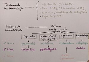 Archivo:Algoritmo de tratamiento sugerido por la "Canadian Journal of Cardiology" para pacientes con POTS