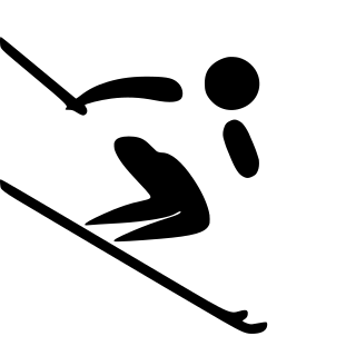 Alpine skiing - Paralympic pictogram.svg
