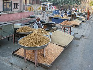 Archivo:Animals food-Jaipur-India