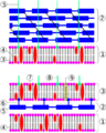Bacteria cell wall2