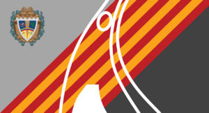 Archivo:Barquisimeto Flag