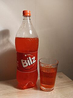 Botella Bilz 2023.jpg