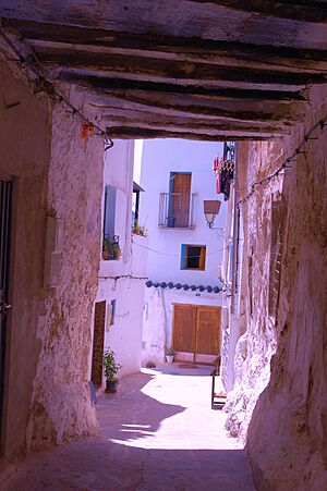 Archivo:Callejonvillar