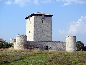 Archivo:Castillo de Mendoza (Álava)