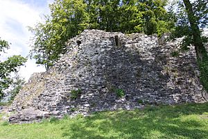 Archivo:Castle Ruins Bossonnens Aug 2011