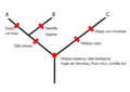 Cladogramanotansimple