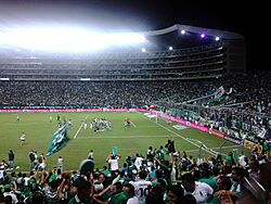 Archivo:Deportivo Cali - millonarios Semifinal 2015-I 26