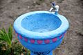 El Jicaral Fuente de agua potable