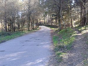 Archivo:Estrada das Barrocas