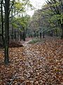 Footpath, Woodnook - geograph.org.uk - 1567588