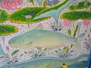 Archivo:Giant Mekong catfish886