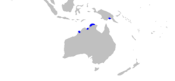 Distribución del tiburón fluvial del norte