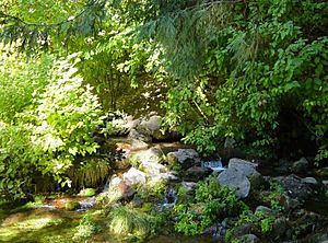 Archivo:Headwaters of the Sacramento River-750px