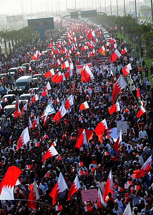 Archivo:Hundreds of thousands of Bahrainis taking part in march of loyalty to martyrs