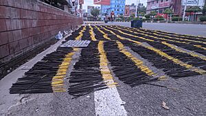 Archivo:Incense being dried on the road in Khulna, Bangladesh (side view)
