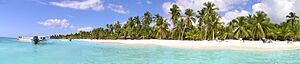 Archivo:Isla Saona