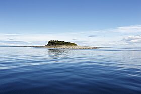 Isla lagartija (30993838243).jpg