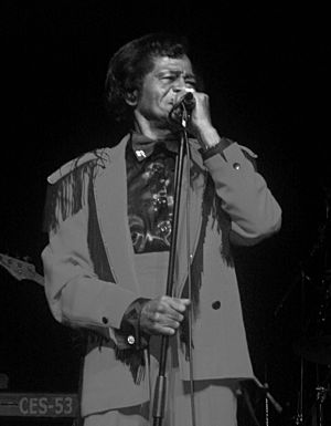 Archivo:James Brown in performance (22 October 2003)