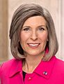 Joni Ernst, official portrait, 116th Congress 3 (cropped)