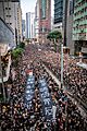 June16protestTreefong16