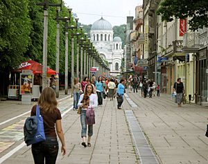 Archivo:Laisvės avenue at the beginning of summer 2007 - panoramio