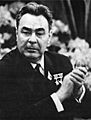 Leonid Brezhnev Portrait (2)