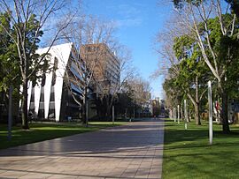 Main Walkway, Lower campus UNSW.jpg