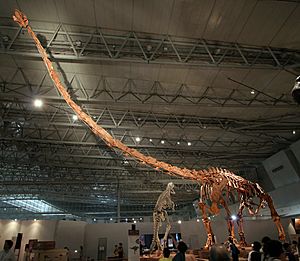 Archivo:Mamenchisaurus in Japan
