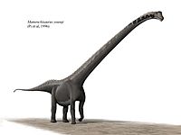 Archivo:Mamenchisaurus youngi steveoc 86