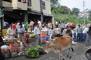 Archivo:Mandi Vegetable Market