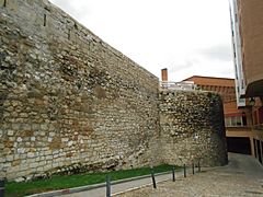 Muralla de Burgos - Calle Trinidad (1)