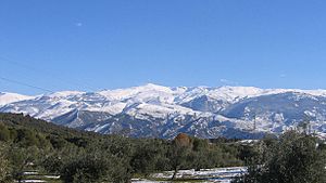 Nevadawikipedia.jpg