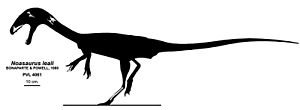 Archivo:Noasaurus leali