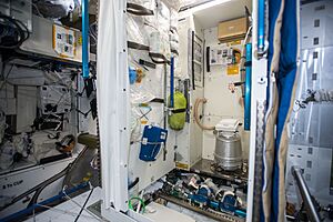 Archivo:Node 3 toilet