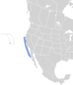 Oceanodroma homochroa map